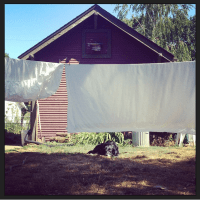 Doing the laundry at my first home in Portland.