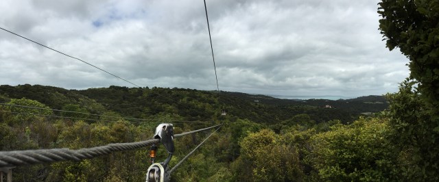 ecozip adventures