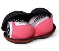 bra case